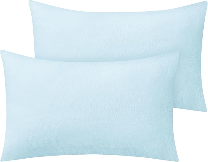 BEDELITE Flannel Pillow Cases Queen Size Set of 2, Super Soft Fleece Pillowcases with Zipper for Bedroom, Sofa, Couch,Luxury Cozy Fuzzy Velvet Pillow Shams for All Seasons(20x30 Inches,Blue)