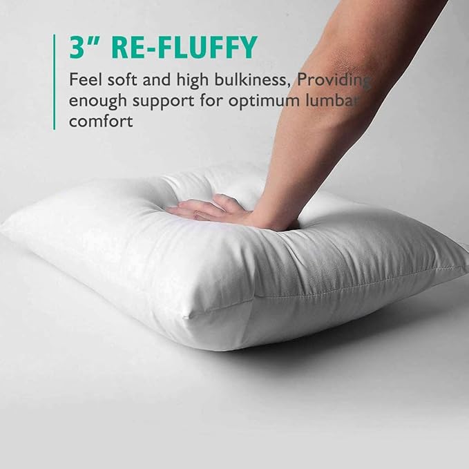 APSMILE Organic 12x20 Feather Down Throw Pillow Inserts Set of 2, 100% Cotton Fabric, Soft Fluffy Rectangle Decorative Pillow Form Core for Sofa, Bed, Couch, Cushion Sham Stuffer
