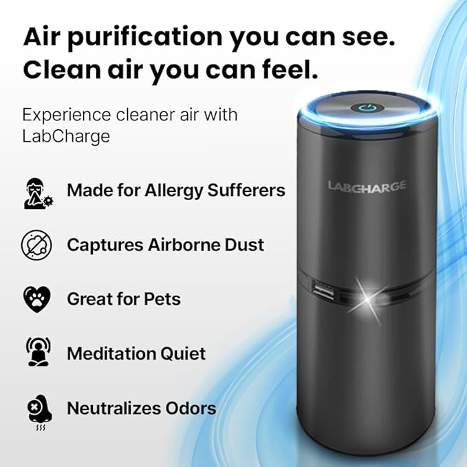 Lab Charge Small Ionic Air Purifier for Home & Bedroom – Silent HEPA Filter – Covers 250 Sq Ft - Free Cleaner for Pets, Hair, Smoke, Dust, Odors & Dander – Compact & Black Design