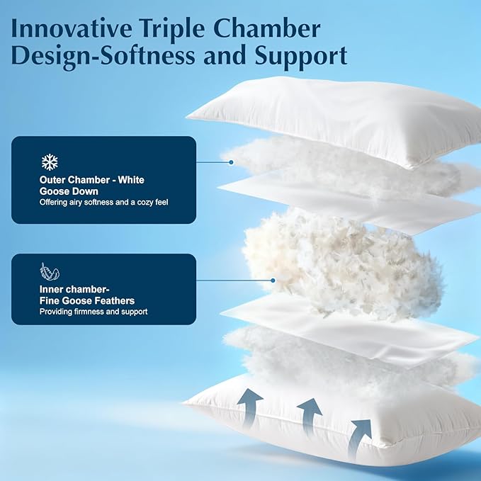 LIANLAM Goose Feather Down Pillow Queen Size, 3-Chamber 5 Star Hotel Pillow for Deep Sleep, Soft Bed Pillows for Neck Pain Relief, Perfect for Side, Back Sleepers, 100% Cotton Shell (1 Pack,20"x30")