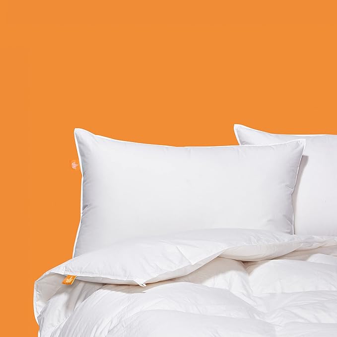 Canadian Down & Feather Co. - 2 Pack Soft Support White Goose Feather Pillow King Size - 255 TC Shell 100% Cotton - Filled in Canada