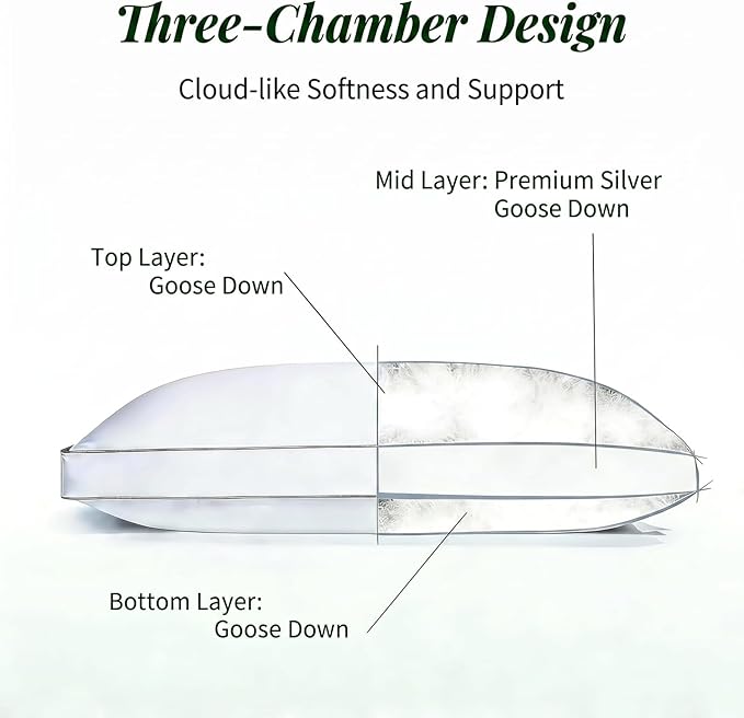 Goose Down Pillow, Queen Size Set of 1 with 3-Layer Design, Hotel Down Bed Pillow for Side, Back, and Stomach Sleepers, Soft 600 Thread Count Cotton Cover–Luxury Hotel Pillows Quality (20" x 28")