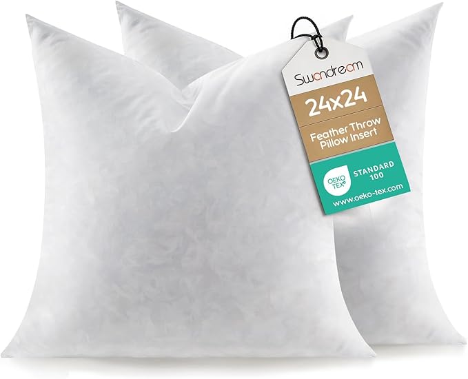 Euro Pillow Inserts Set of 2, Soft Fluffy Square 24 x 24 Inches Decorative Pillow Insert, Feather and Down Filled Throw Pillows