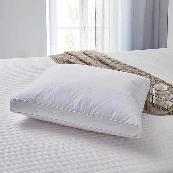 Blue Ridge Home Fashions Quilted Goose and Feather Down Jumbo Pillow in White (Set of 2)