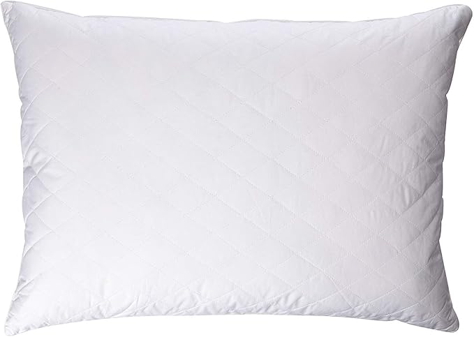 Blue Ridge Home Fashions Quilted Goose and Feather Down Jumbo Pillow in White (Set of 2)