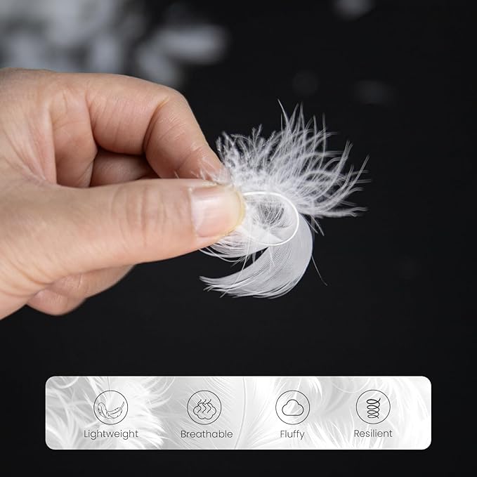 MOOX Down Feathers Pillow Stuffing Filling for DIY Projects Premium Natural 5/95 Goose Feather Down Soft Fluffy Perfect for Pillow Cushions Bedding Pillow Couch Dog Bed Upholstery Crafts (4.0, Pounds)