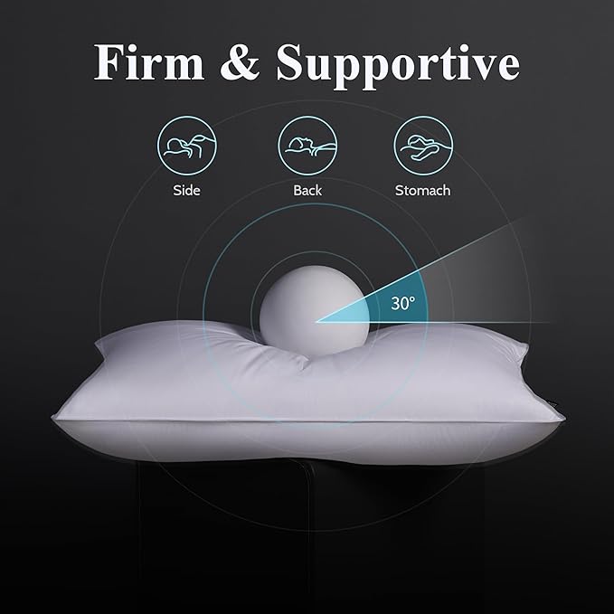 DOWNSTORIA Goose Feather Down Pillow Standard Size Set of 2, Firm Hotel Collection Bed Pillows for Sleeping, 2 Pack, Down Surrounded Pillows for Side Sleepers 20 x 26 in.