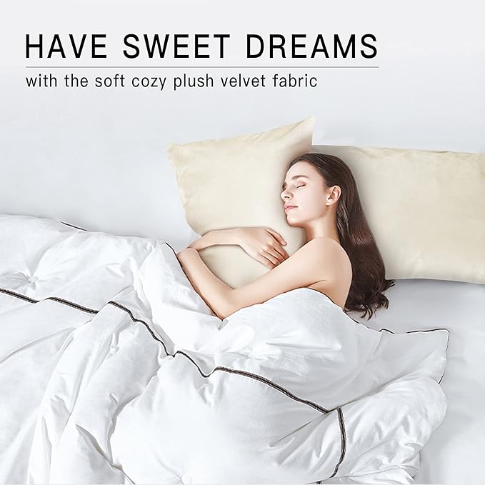 StangH Cream White Pillowcovers Bed Pillowcases Super Soft Velvet Pillow Covers Warm Pillow Protector for Babies/Hair and Skin Friendly, Set of 2, Ivory White, 20 x 30 inches
