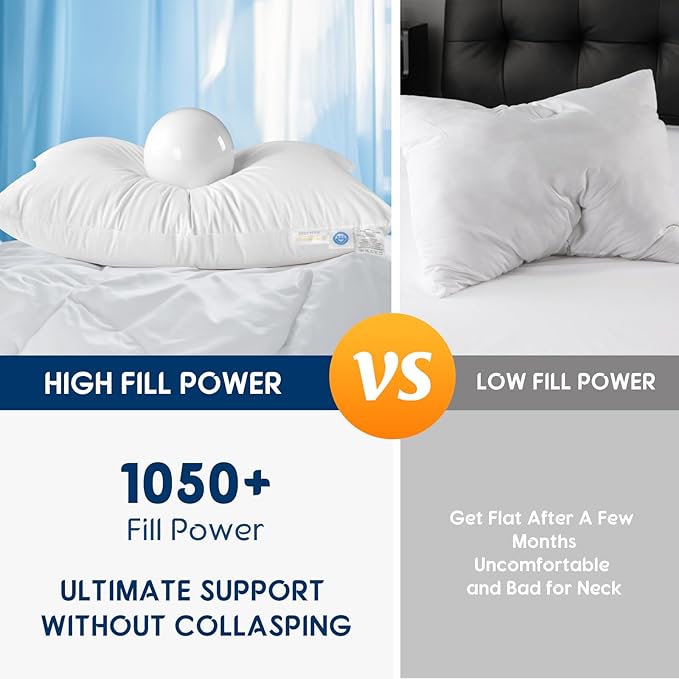 LBRO2M Canadian Fluffy Goose Down Pillow King Size 1050 Fill Power 80% Goose Down 20% Goose Feather Bed Pillow with 100% Cotton, Teflon Finish Shell Down Pillows Plush and Support (20"X36", Set of 2)