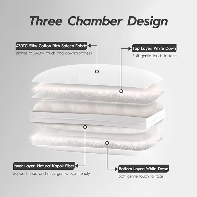 Globon Luxury Down Pillows Queen Size Set of 2 for Side Sleepers, 100% Cotton Shell Hotel Collection Bed Pillow for Sleeping, Firm Feather Down Pillow 20" x 30"