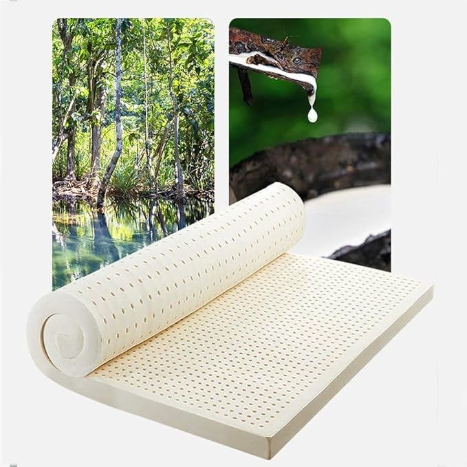 Natural Latex Mattress - Organic Cover, 6 Inch Thickness, Single to Size, Hotel Quality, Eco-Friendly Comfort for Family, 160x200cm (59x79in)