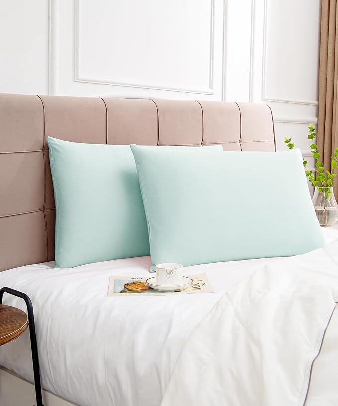 Warmstar Cotton Pillow Cases Queen Size Set of 2, 600 Thread Count Pillowcases 20x30 Inches, Soft Long Staple Cotton Pillowcases Breathable with Envelope Closure,Sky Blue