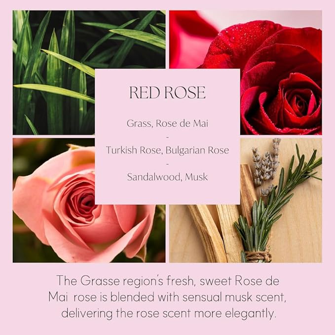 396 st. Dahlia Flower Reed Diffuser, Baby Powder, 200ml(6.7oz) / Reed Diffuser Sets, Home Fragrance, Scented Oils, Home & Bathroom Décor