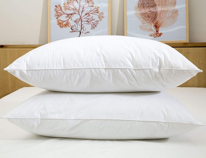 JA COMFORTS Duck Feather Down Bed Pillows for Sleeping(2 Packs)-Queen(20IN×30IN),High Filling Weight,600 Thread Count,Double-Layer Downproof Fabric Design,10% Duck Down,Cotton Cover,White