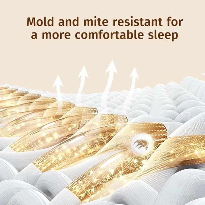 100% Natural Talalay Latex Medium Firm Support for Neck & Shoulder Pain Relief – Breathable, Eco-Friendly – Queen Size(mid Profile) with Removable Washable Cover – Non-Toxic, No Memory Foam