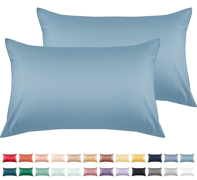 Warmstar Cotton Pillow Cases Queen Size Set of 2, 600 Thread Count Pillowcases 20x30 Inches, Soft Long Staple Cotton Pillowcases Breathable with Envelope Closure, Placid Blue