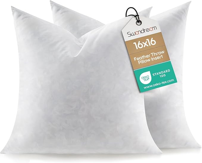 Feather Throw Pillow Inserts Set of 2, Soft Fluffy Square 16 x 16 Inches Decorative Pillow Insert, Feather and Down Filled Euro Pillows