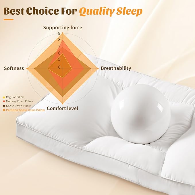 Goose Down Pillow Queen Size Set of 2, 1250+ Fill Power, 600 Thread Count Cotton Shell, for Side, Back(White,Queen(Pack of 1))