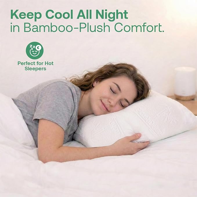 Premium Standard 20''x 26'' Waterproof Pillow Protector Covers - Zippered Pillowcase, Set of 2 Standard Size