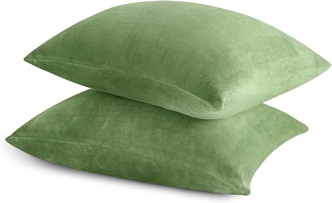 BEDELITE Flannel Pillowcases Standard Set of 2, Super Soft Fleece Pillow Case Cover with Zipper for Bedroom, Sofa, Couch,Luxury Cozy Velvet Pillow Shams for All Seasons(20x26 Inches, Sage Green)