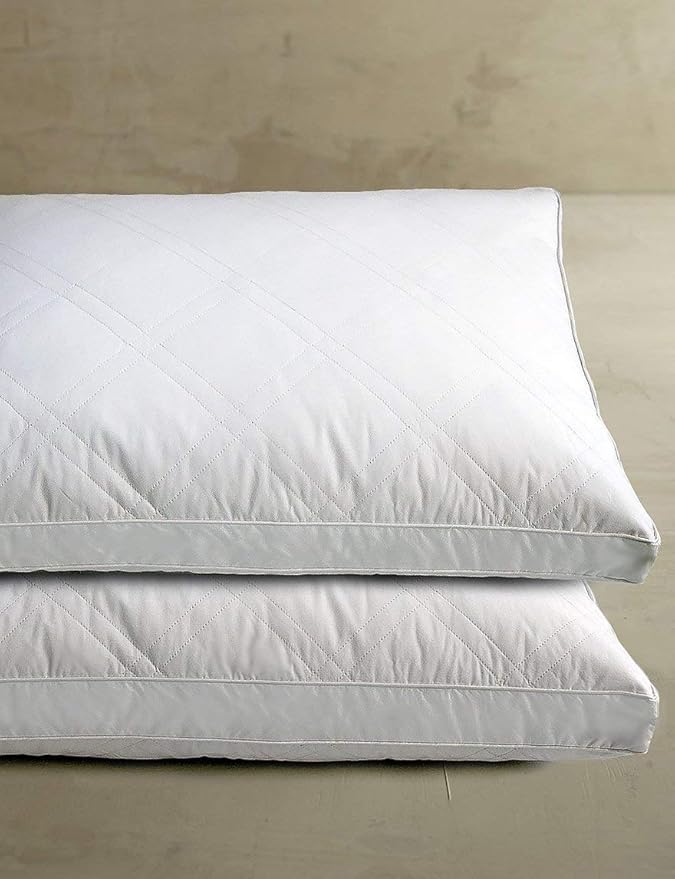Blue Ridge Home Fashions Quilted Goose and Feather Down Jumbo Pillow in White (Set of 2)