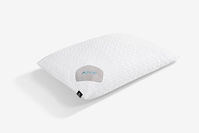 Bedgear Dri-Tec Performance Pillow Protector, Moisture-Wicking Cooling Pillow Cover with Airflow Technology | Breathable, Protective Pillowcase with Zipper | Machine Washable Pillow Protector, Queen