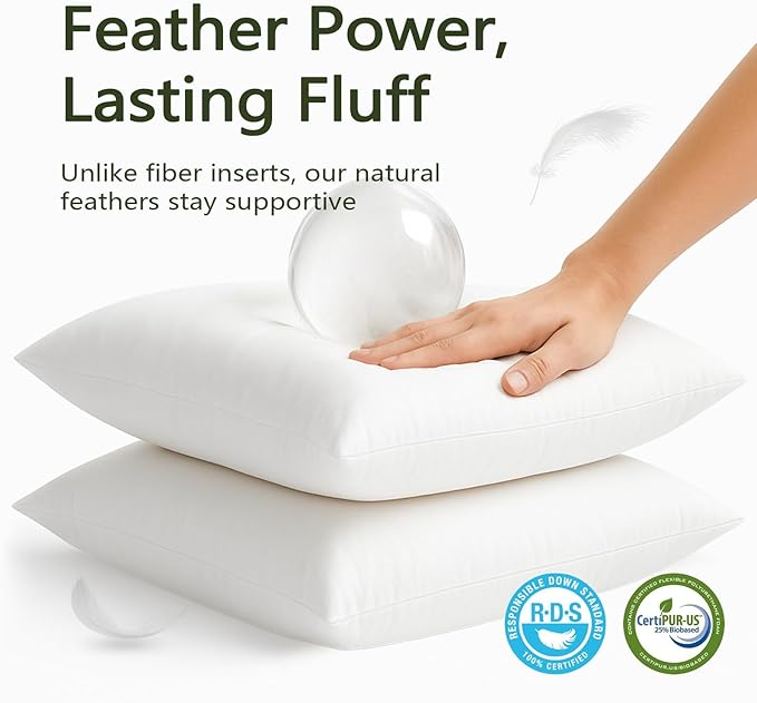 DWR Set of 2 Feather Down Throw Pillow Inserts 14x14 with Organic Cotton Cover, Feather Square White Decorative Pillow Inserts for Bed, Sofa, and Couch
