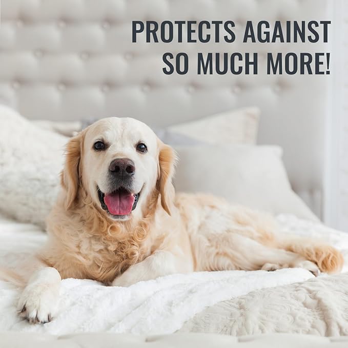 DMI Mattress Protector Twin 2 Pack - Waterproof, Fitted, Noiseless, Soft & Breathable, 39" x 75" x 8", White