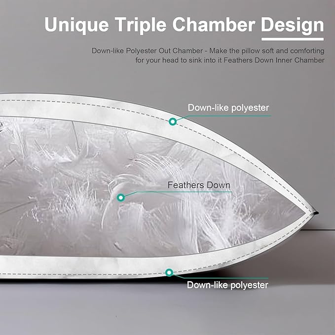 APSMILE Medium Firm Feathers Down Pillow Queen Size Set of 2, Luxury Feathers Pillow for Sleeping, 100% Organic Cotton Cover Hotel Bed Pillow for Side Sleeper (White, 20"x30")