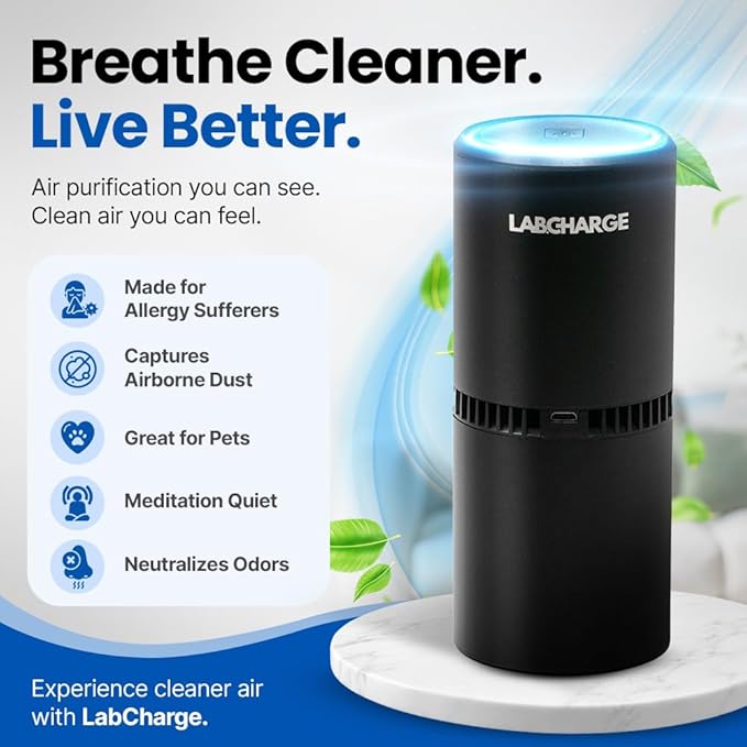 Lab Charge Small Ionic Air Purifier for Home & Bedroom – Silent HEPA Filter – Covers 250 Sq Ft - Free Cleaner for Pets, Hair, Smoke, Dust, Odors & Dander – Compact & Black Design - Pack of 2