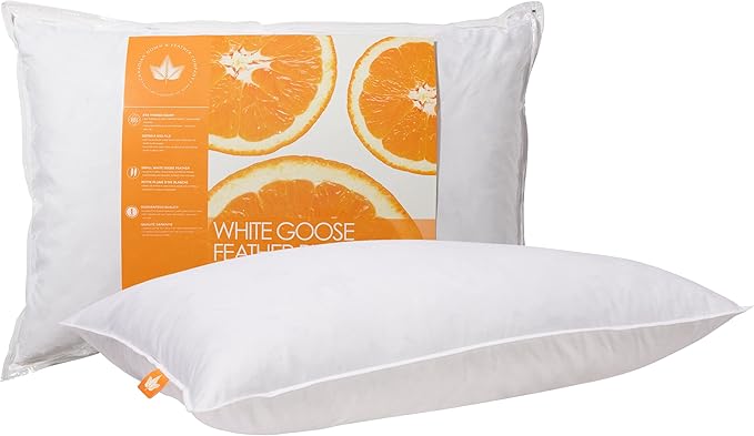 Canadian Down & Feather Co. – 2 Pack White Goose Feather Pillow – 255 TC Shell 100% Cotton – Filled in Canada - Firm Support, Queen Size