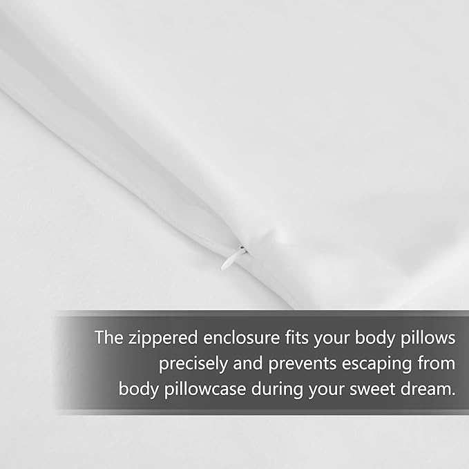 StangH Bed Pillow Pillowcase Super Soft Velvet Skin Friendly Bed Pillow Cover for Hair and Skin Hidden Zipper, Queen Size (Beach White, 20 x 30 inches) Set of 2