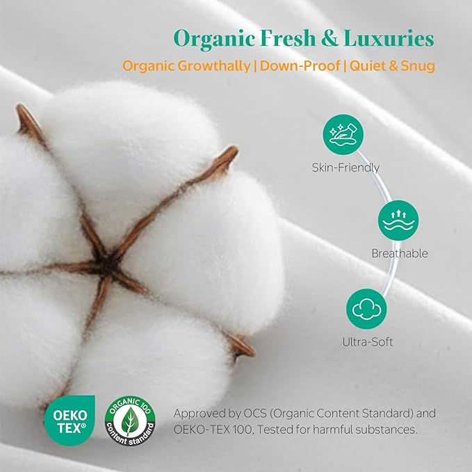 APSMILE Euro Pillow Inserts, Down Feather Throw Pillows 28x28 Set of 2 with Organic Cotton Cover, Soft Square Decorative Pillows for Couch Living Room,Sofa,and Bed（White）