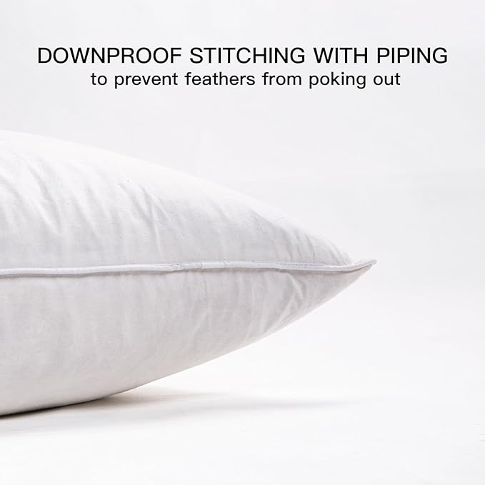 18"x18" Pillow Inserts Soft Feather Pillow Set of 2 Indoor Decorative Sofa Down Pillows Bed Pillows Couch Pillow