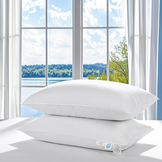 LBRO2M Canadian Fluffy Goose Down Pillow Queen Size 900 Fill Power 80% Goose Down 20% Goose Feather Bed Pillow with 100% Cotton, Teflon Finish Shell Down Pillows Plush and Support (20"X30" Set of 2)