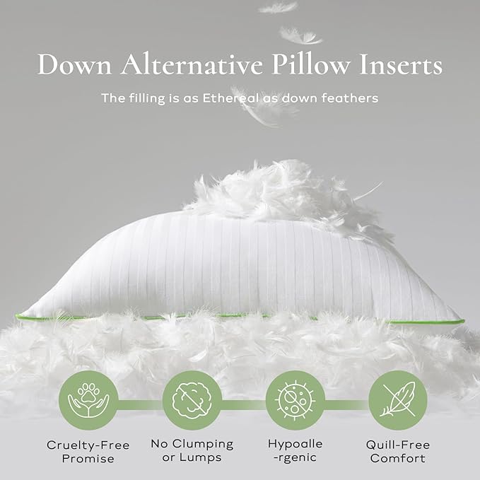 Ashler Home Deco Synthetic Down Pillow Inserts, 20x20 Down Alternative Throw Pillows Insert Sleeping Pillows with 100% Cotton Cover Decorative Pillow Stuffer for Sofa, Couch Bed(Set of 2, White)