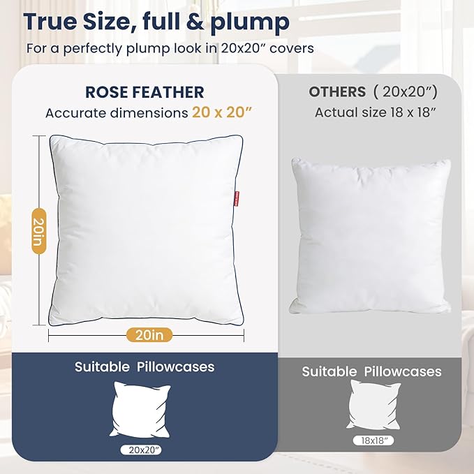 Down Pillow Inserts 20x20, 100% Goose Down Feather Throw Pillows Inserts - Ultra Plush, Decorative Pillow Insert with Soft Cotton Cover for Couch Sofa Bed Living Room White (Pack of 1)
