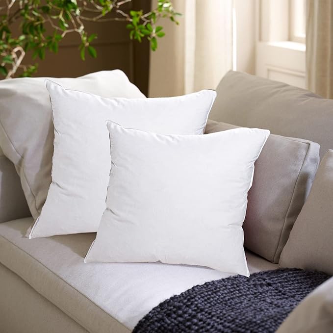 18"x18" Pillow Inserts Soft Feather Pillow Set of 2 Indoor Decorative Sofa Down Pillows Bed Pillows Couch Pillow