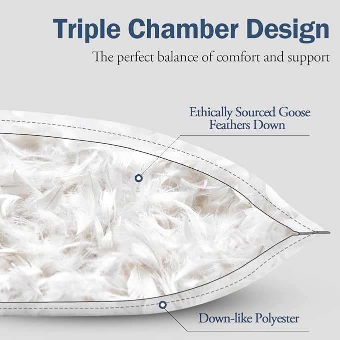 BPC Luxury Hotel Goose Feather Down Pillows Queen Size Set of 2, Medium Firm Bed Pillows for Sleeping, Organic Cotton Cover, Soft Yet Supportive Down Alternative Surround, RDS Certified, White 20"x30"