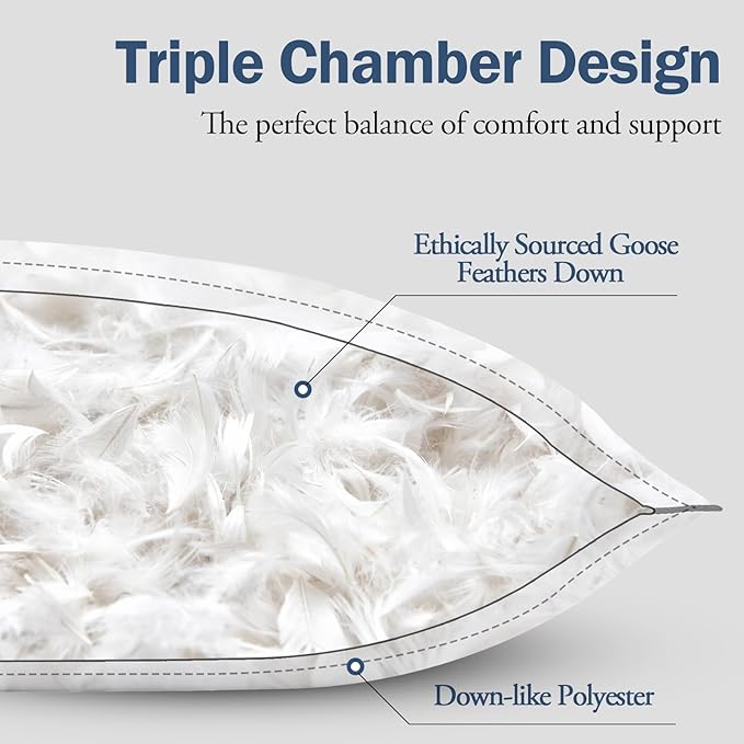 BPC Luxury Hotel Goose Feather Down King Size Pillows Set of 2, Medium Firm Bed Pillows for Sleeping, Organic Cotton Cover, Soft Yet Supportive Down Alternative Surround, RDS Certified, White 20"x36"