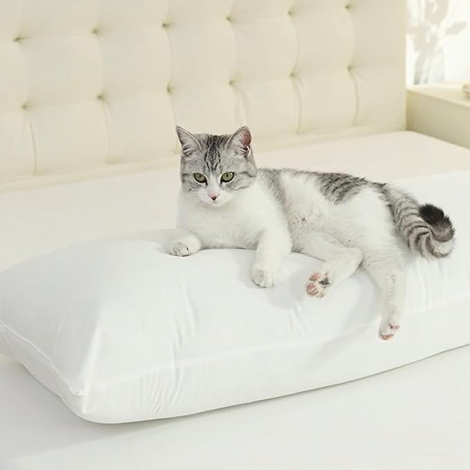 SHOUREN Cotton Body Pillow Insert - Cooling Breathable Full Body Pillow for Side Sleeper - Soft Long Bed Pillow for Adults - 20 x 54 inch-White