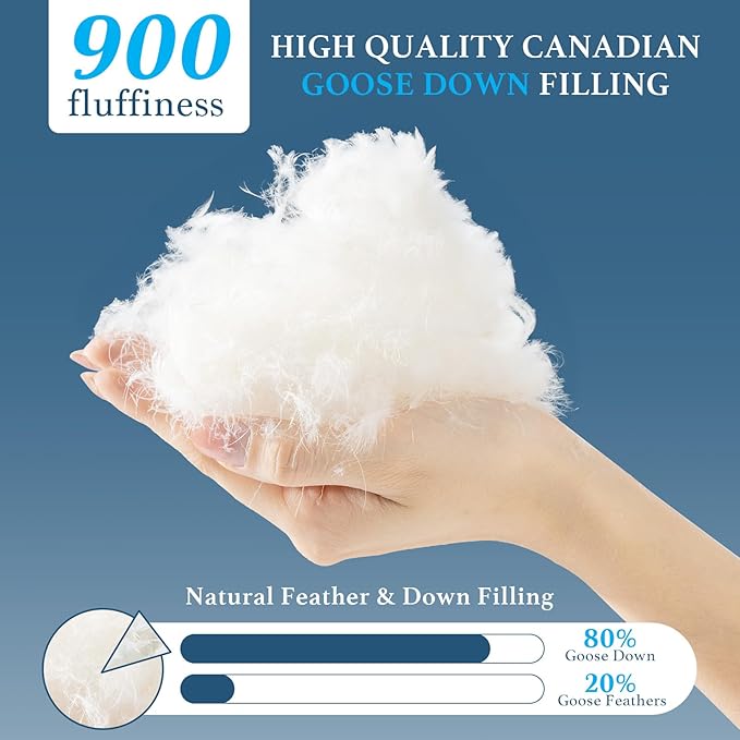 Canadian White Goose Down Pillow Queen Size- 900+ Fill Power, Soft Down Pillows for Sleeping, Fluffy Hotel Luxury Bed Pillows for Neck Pain, Side Sleeper Pillow (1 Pack, 20"x30")