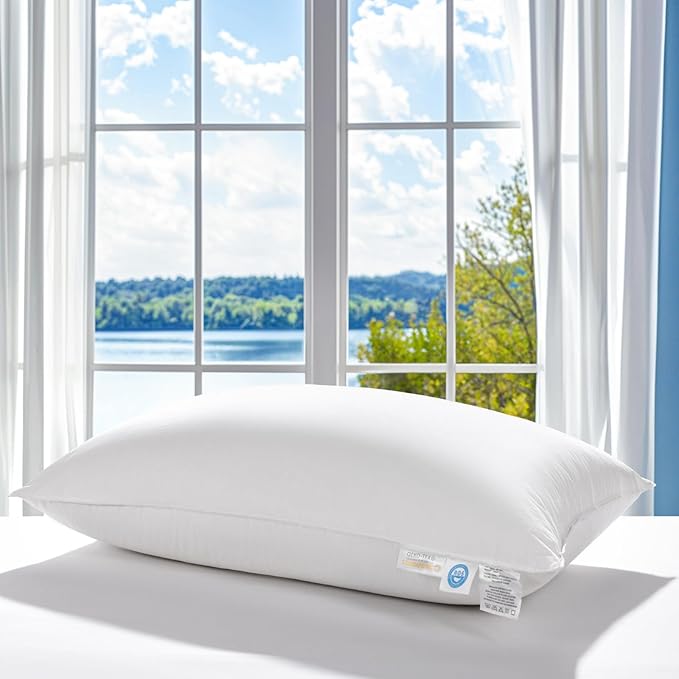Canadian Fluffy Goose Down Pillow Standard Size 750 Fill Power 80% Goose Down 20% Goose Feather Bed Pillow with 100% Cotton, Teflon Finish Shell Down Pillows Plush and Support (20"X26" Set of 2)