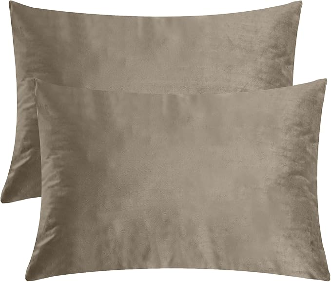 StangH Soft Velvet Pillowcase Bed Pillow Cover for Hair and Skin, Queen Size (Camel Beige, 20 x 30 inches) Set of 2, Luxury Warm Pillow Cover with Hidden Zipper