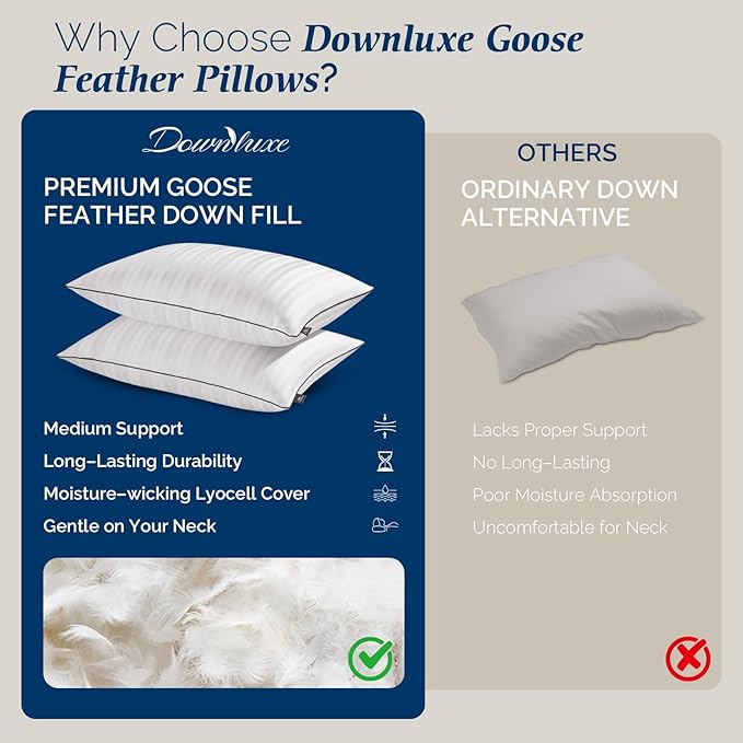 downluxe Goose Feather and Down Pillows - Hotel Collection Feather Pillows for Back, Stomach or Side Sleepers, Bed Pillows Queen Size Set of 2 (20"x28")