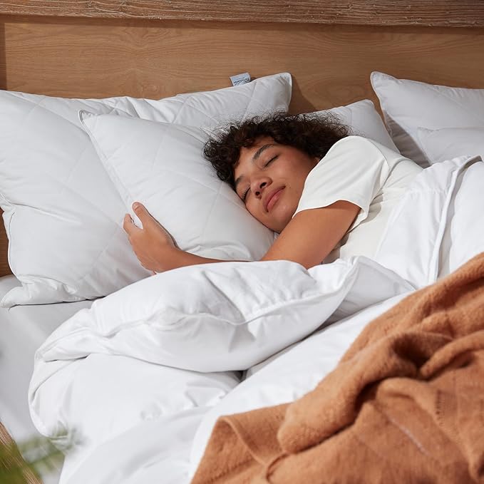 Three Geese White Goose Feather Cotton Pillows Queen Size Set of 2 - Soft 600 Thread Count Organic Cotton Cover, Soft Goose Feather Down Pillows for Side and Back Sleepers, 20x28inches