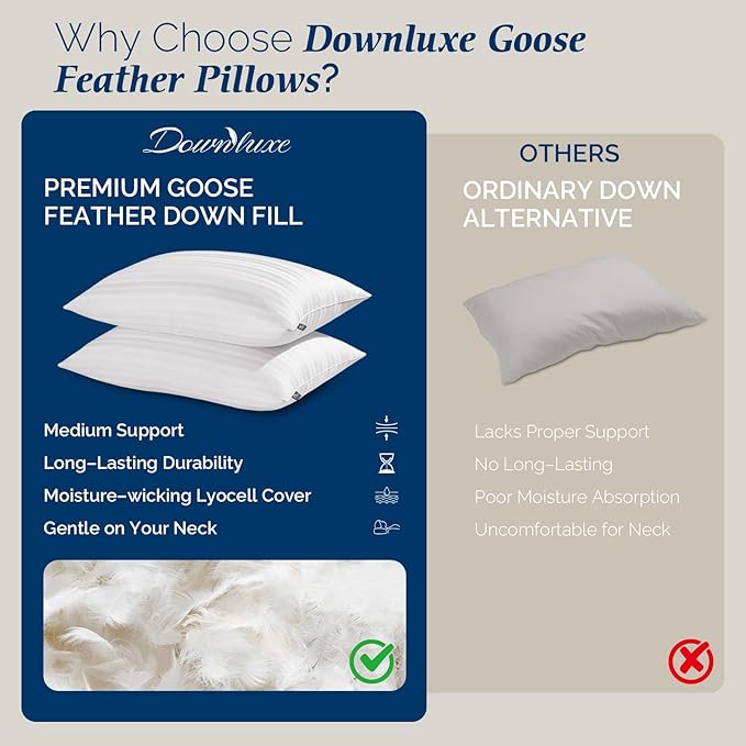 downluxe Goose Feather and Down Pillows - Hotel Collection Feather Pillows Set of 2 for Back, Stomach or Side Sleepers, King Size (20"x36")