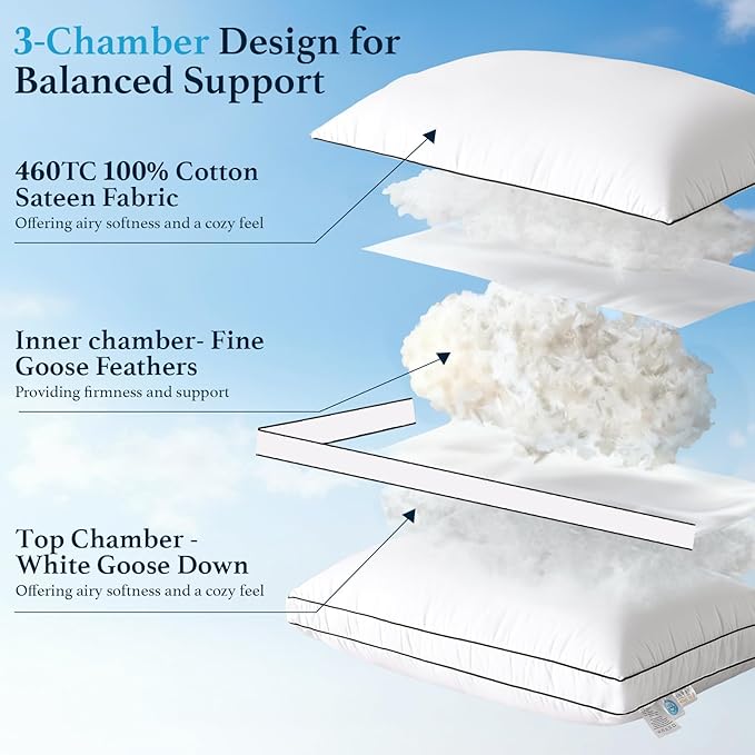 RDS Certified Goose Feather & Down Pillows, 3-Chamber Gusseted Design for Balanced Neck Support, 100% Cotton Cover, Hotel Style Bed Pillow for Side and Back Sleepers | Queen Size Set of 2, 20" x 30"