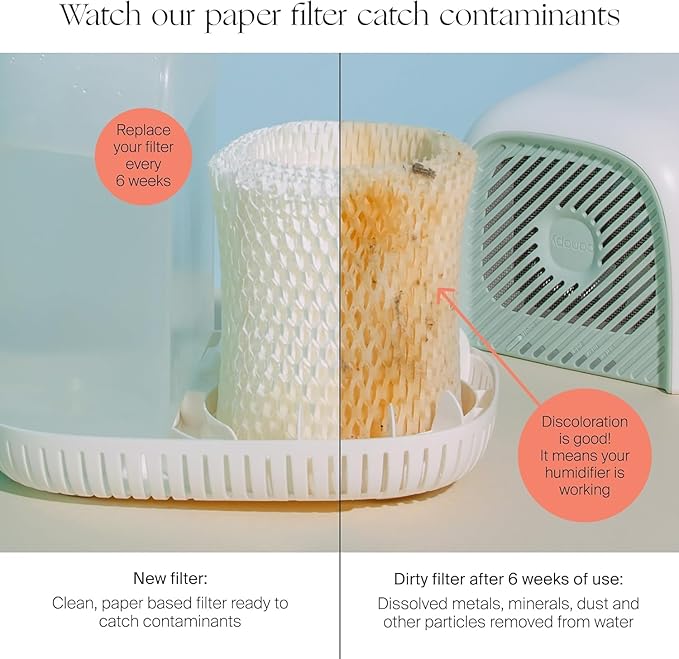 Canopy Original Bedside Humidifier Filters, Replacement Filters - Compatible with Canopy Bedside Humidifiers, Made with Wood Pulp, Paper Filter, Replace Every Six Weeks - Pack of 3