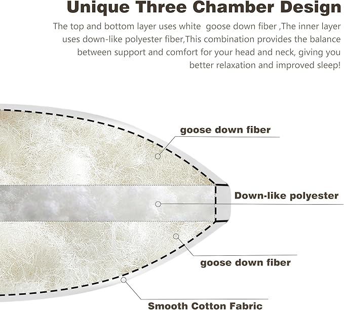 Feather Dowm Pillows Standard Size Set of 2 Pack, Luxury Hotel Collection Bed Pillow, Soft Medium Fim Feathers Pillow For Sleeping, Down Surrounded Gusseted Pillows for Side Back Stomach Sleepers